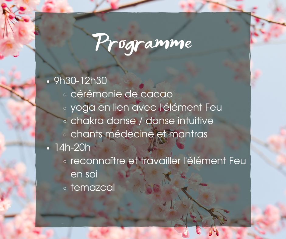 Programme Feu